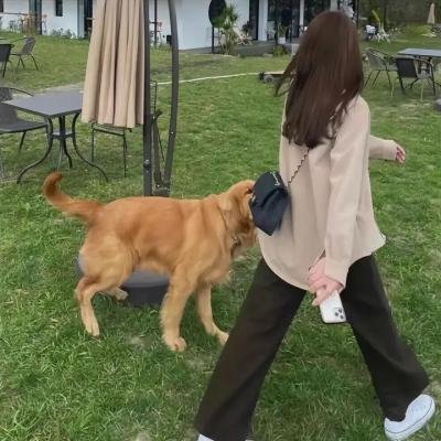 血腥之地
